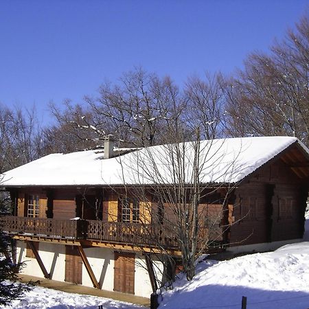 Appartement Chalet Renove 6 Pers Avec Terrasse Proche Evian, Ski Et Randonnee - Fr-1-498-29 圣保罗恩查拉 外观 照片