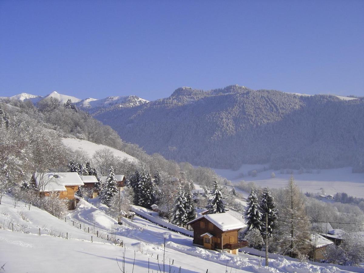 Appartement Chalet Renove 6 Pers Avec Terrasse Proche Evian, Ski Et Randonnee - Fr-1-498-29 圣保罗恩查拉 外观 照片