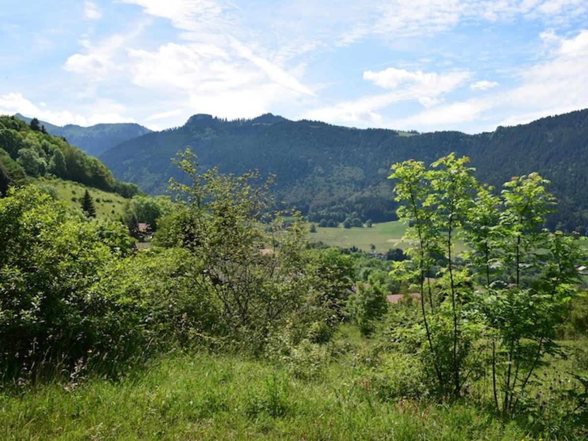 Appartement Chalet Renove 6 Pers Avec Terrasse Proche Evian, Ski Et Randonnee - Fr-1-498-29 圣保罗恩查拉 外观 照片